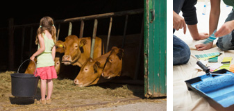 girl feeding calves + choosing paint colors