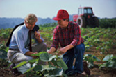 farmer in field